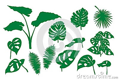 Set of green silhouettes of tropical leaves. Hand drawn plant for decoration. Stock Photo