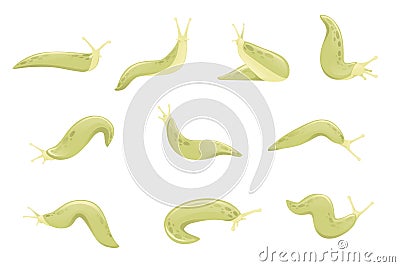 Set of green slug cartoon animal design flat vector illustration isolated on white background Vector Illustration