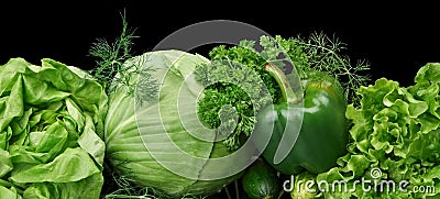 Set of green vege-cabbage,lettuce,bell pepper,dill on black at the bottom Stock Photo