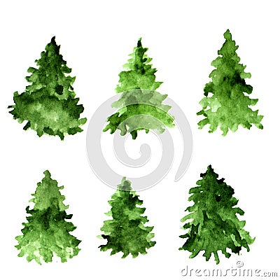 Set of green watercolor spruces. Fir tree collection. Stock Photo