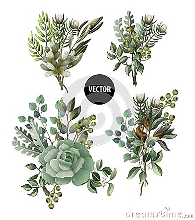 Set of greenery leaves and succulent bouquet in watercolor style. Eucalyptus, magnolia, fern and other vector illustration. Vector Illustration