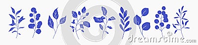 Set of greenery silhouette floral branch, leaf, plants. Botanic delicate blue foliage leaves Vector Illustration