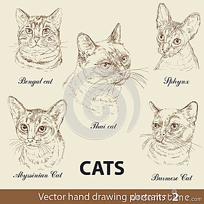 Set of hand drawing cats 2 Vector Illustration