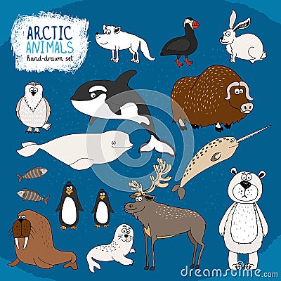 Set of hand-drawn arctic animals Vector Illustration