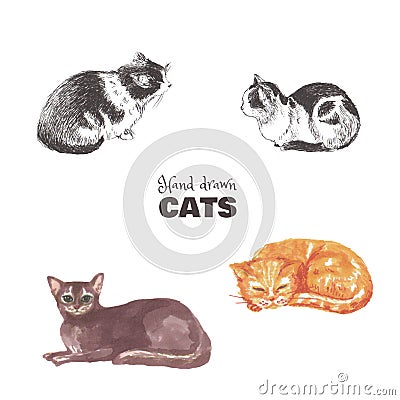 Set of hand-drawn cats. Sketches of lying multicolored cats. Stock Photo