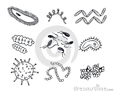 Set of hand drawn doodle germs, bacilli and streptococci. Collection vector illustration of microscopic organisms and Vector Illustration