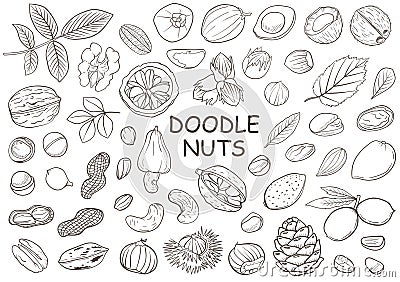 Set of hand drawn doodle nuts Vector Illustration