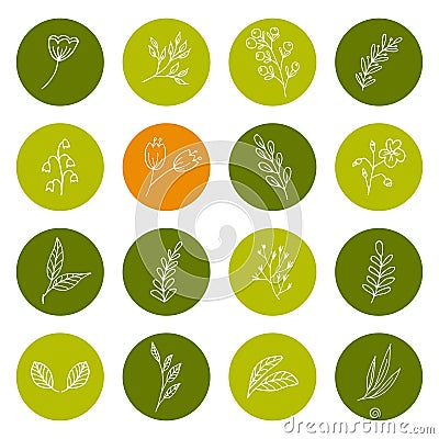 Set of hand drawn floral icons Vector Illustration