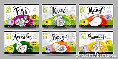 Set of hand drawn food labels, spices labels, fruit labels, vegetable labels Stock Photo