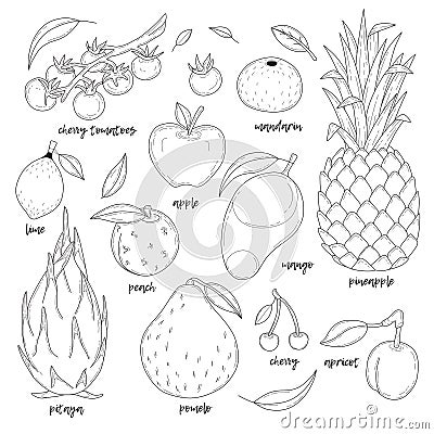 Set of hand drawn fruits. Vector Illustration