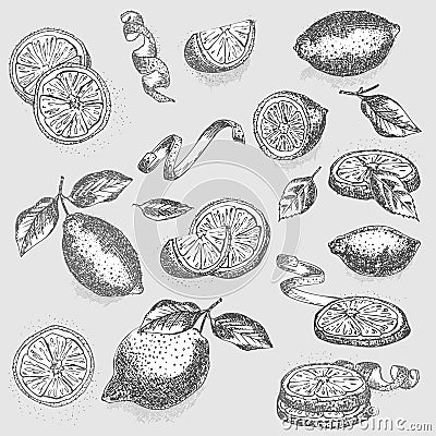 Set of hand drawn half, quarter, slices and zest lemon fruit in black color on gray background. Retro vintage graphic Vector Illustration