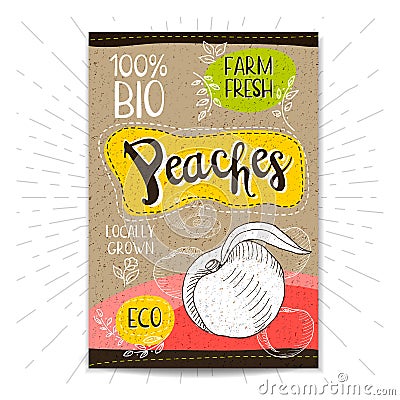 Set of hand drawn labels food, spices. Vector Illustration