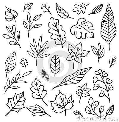 Set of leaves doodle Cartoon Illustration