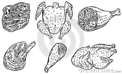 Set of hand drawn meat illustrations. Chicken meat, steak. Design element for poster, card, banner, menu. Vector Illustration