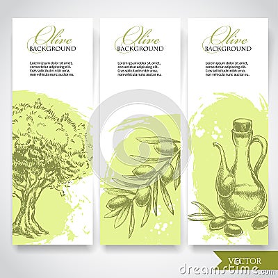 Set of hand drawn olive banners. Olives, olive tree and olive branch Vector Illustration