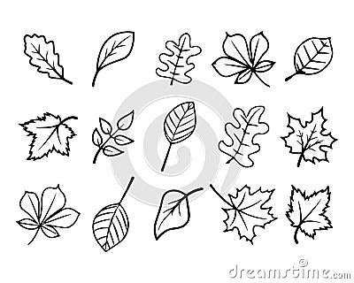 Set of hand drawn outline tree leaves, line art. Autumn leaves for coloring, illustration Vector Illustration