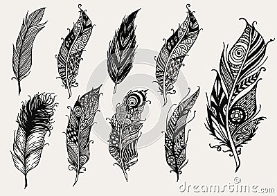 Set of hand drawn rustic decorative feathers Vector Illustration