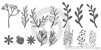 Set of hand drawn shapes and doodle floral design elements. Botany silhouettes and abstract shapes collection with scribble effect Vector Illustration