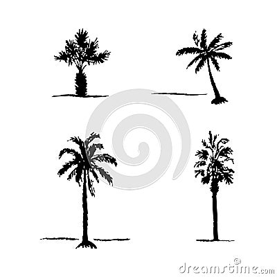 Set of hand drawn sketch palm trees Vector Illustration