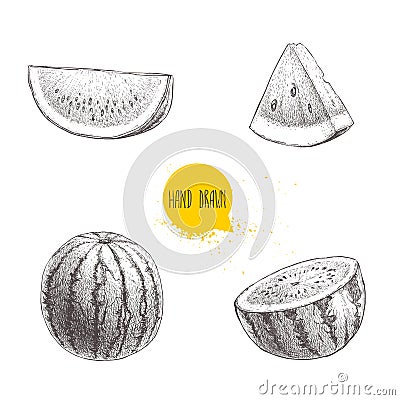 Set of hand drawn sketch style watermelons and watermelon slices. Vintage design fruits. Eco summer food illustrations Vector Illustration