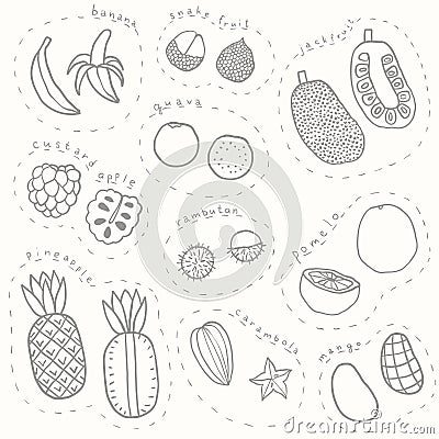 Set of hand drawn sketch tropical fruits part 1 Vector Illustration