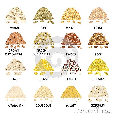 Set of hand drawn vector handful of grains and cereals Vector Illustration