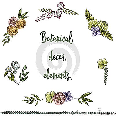 Set of hand drawn Vintage Decor Elements isolated on white background. Decorative flowers and leaves. Vector Illustration Stock Photo