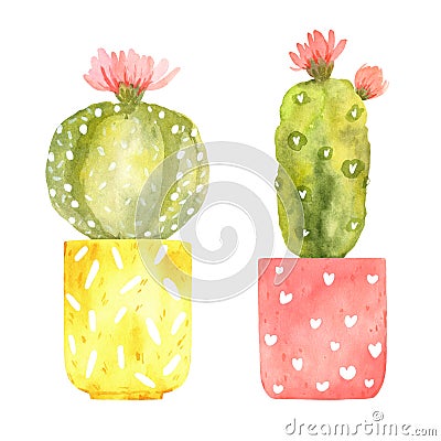 Set of hand drawn watercolor blooming cactus in bright pots Stock Photo