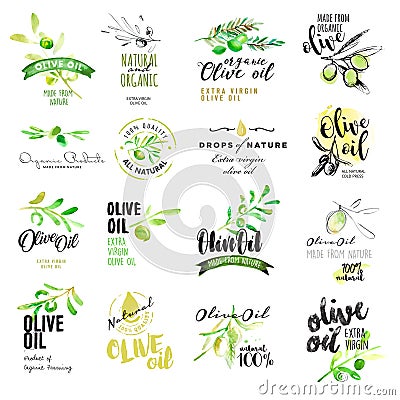 Set of hand drawn watercolor labels and elements of olive oil Vector Illustration