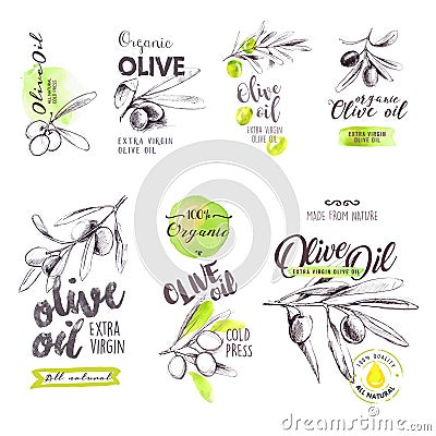 Set of hand drawn watercolor labels and signs of olive oil Vector Illustration