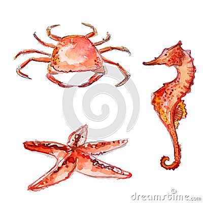 Set of hand drawn watercolor sea creatures: orange crab, starfish and sea horse. Colorful vector illustrations isolated on white Vector Illustration