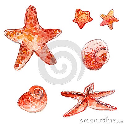 Set of hand drawn watercolor starfishes and sea shells. Artistic vector illustrations isolated on white background. Vector Illustration