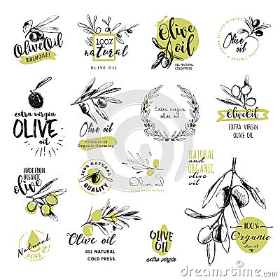 Set of hand drawn watercolor stickers and badges of olive oil Vector Illustration