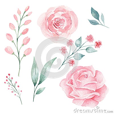 Set of hand painted pink watercolor flowers and greenery leaves. Stock Photo