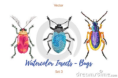 Set of hand painted watercolor bugs, vector. Vector Illustration