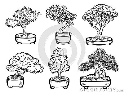 Set of handdrawn isolated decorative asian bonsai trees. Vector Illustration