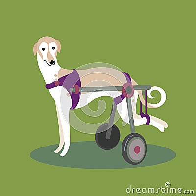 Set of handicapped disabled dogs Cartoon Illustration