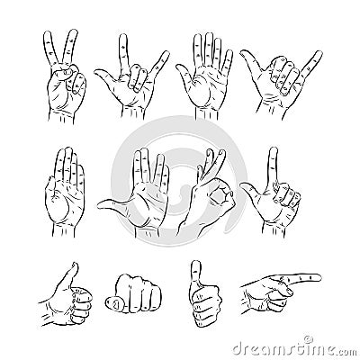 Set of hands showing different gestures. vector illustration Vector Illustration