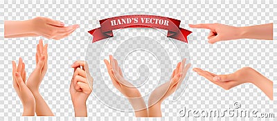 Set of hands on transparent background Vector Illustration