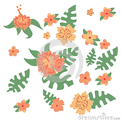 Set of Hawaiian flowers and monstera leaves nature leaf Vector Illustration