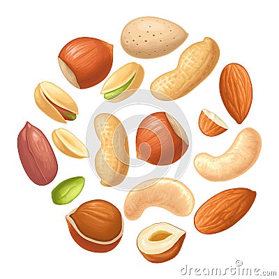 Set hazelnut, peanut, almond, cashew, pistachio. Vector realistic icon nut Vector Illustration