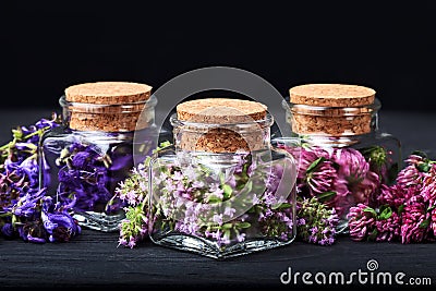 Set of healing herbs Stock Photo