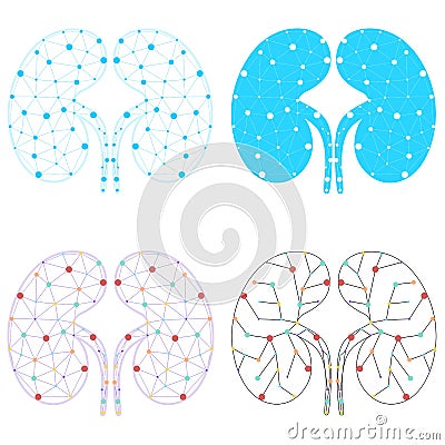 Set of healthy kidney internal organ low poly geometric model, dot line. Urology system medicine disease treatment. Future science Cartoon Illustration