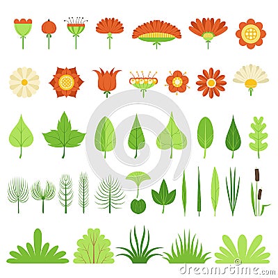 Set of herbs, bushes, flowers, leaves and reeds. Vector illustration. Botanical collection Vector Illustration