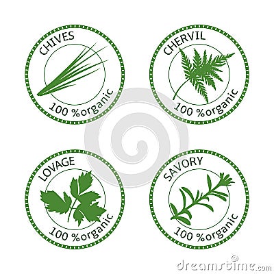 Set of herbs labels. 100 organic. Vector illustration Vector Illustration