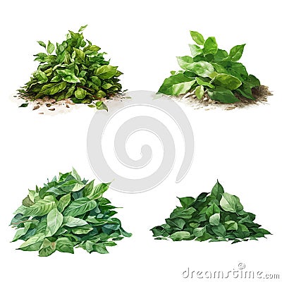 Set of a High Detailed Watercolor Element of Pile of Green Leaf. Made with AI. Vector Illustration Vector Illustration