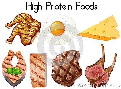 A Set of High Protein Food Vector Illustration