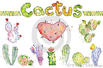 Set of high quality hand painted cactus watercolor cacti Stock Photo