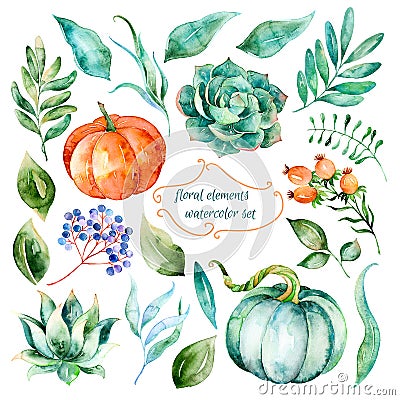 Set of high quality hand painted watercolor elements for your design Stock Photo