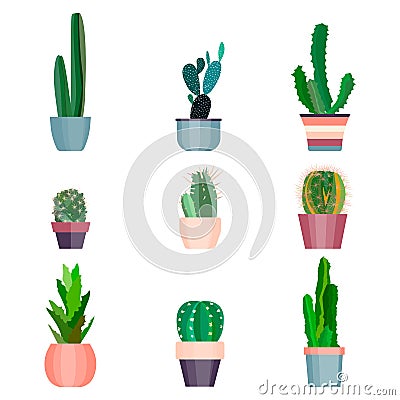 Set of high quality hand painted watercolor elements for your design with succulent plants, cactus and more. Perfect Vector Illustration